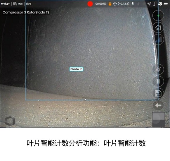 葉片智能計數(shù)分析功能
